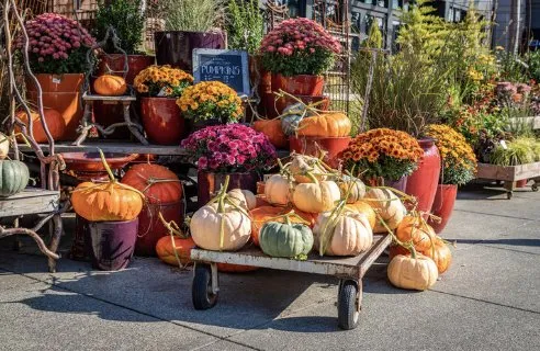 Custom landscape design for residential properties across Richmond, VA - Diplomatic Lawn Care