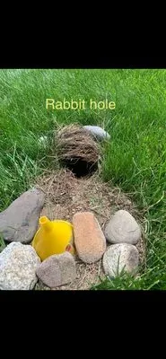 DiPrato Landscape Services Logo