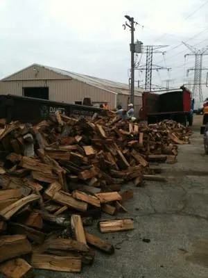 Direct Buy Landscaping & Tree Service Logo