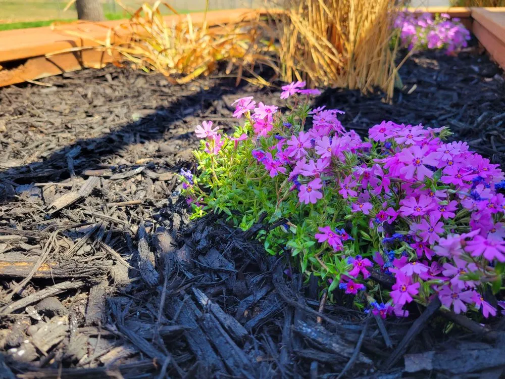 Local residential landscaping for homes across Hoyt, KS - Direct Connection Lawn Services