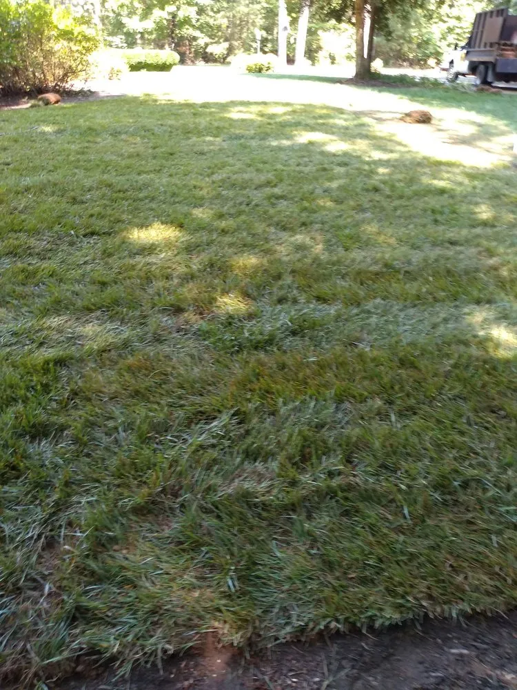 Top-rated lawn mowing service in Manakin-sabot, VA by Direct Cut Lawn Tree Service