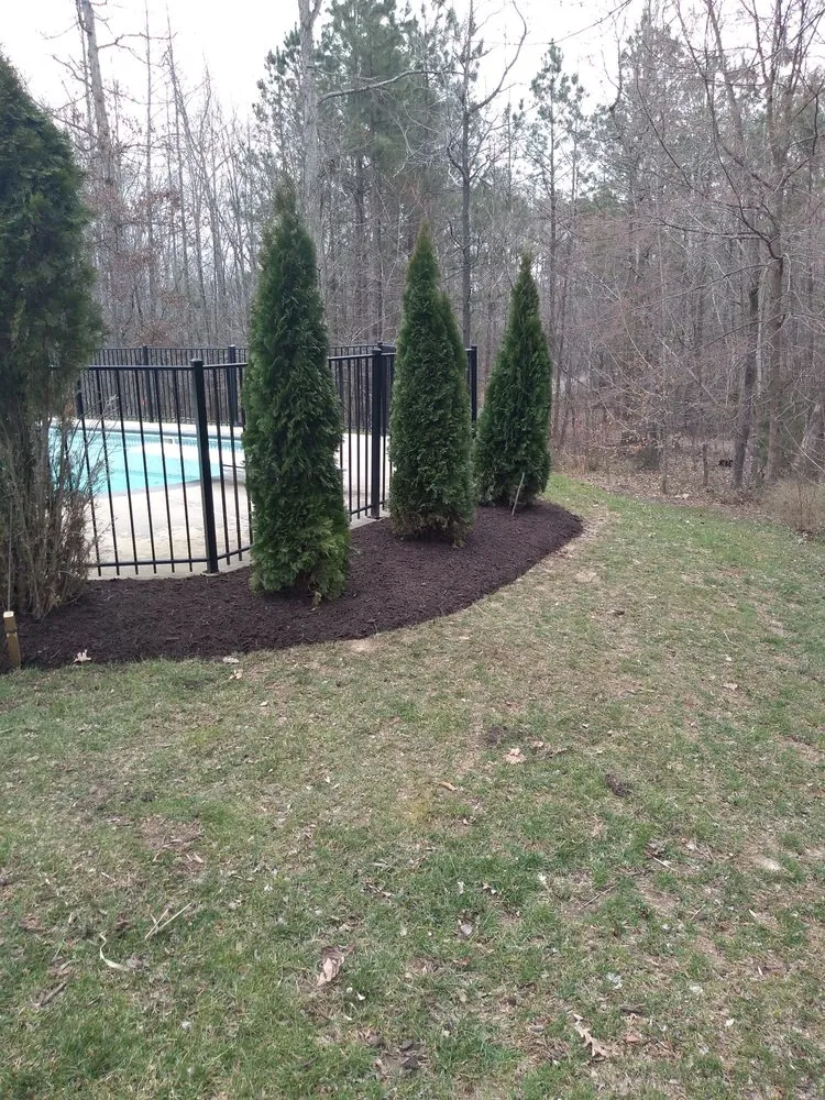 Reliable yard cleanup service in Manakin-sabot, VA by Direct Cut Lawn Tree Service