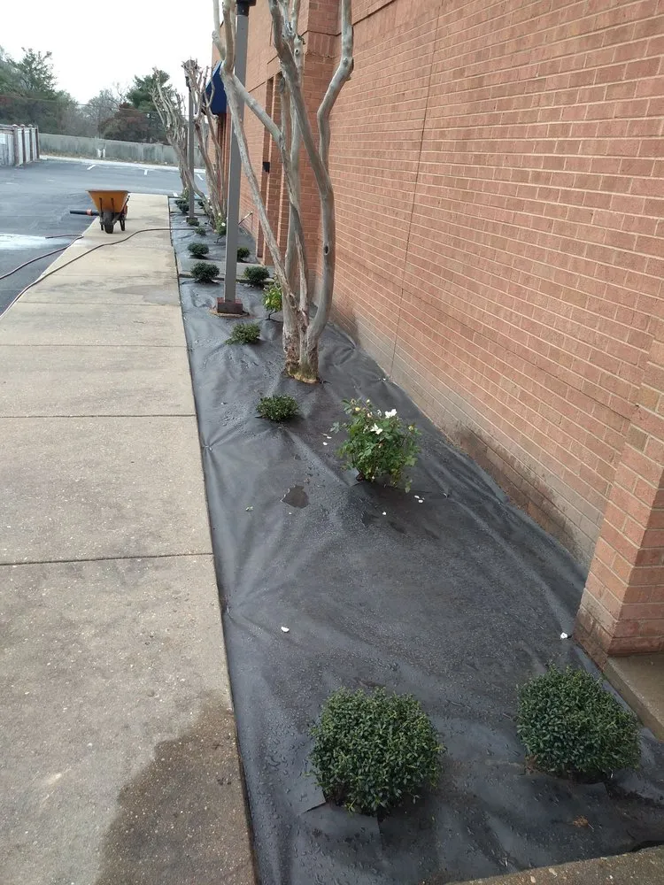 Affordable garden landscaping in Manakin-sabot, VA - Direct Cut Lawn Tree Service