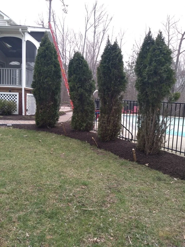 Professional lawn mowing service for outdoor upgrades in Manakin-sabot, VA by Direct Cut Lawn Tree Service