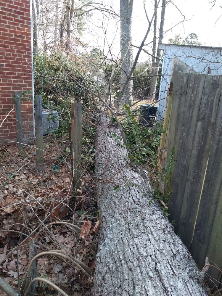Affordable residential landscaping for homes across Manakin-sabot, VA - Direct Cut Lawn Tree Service