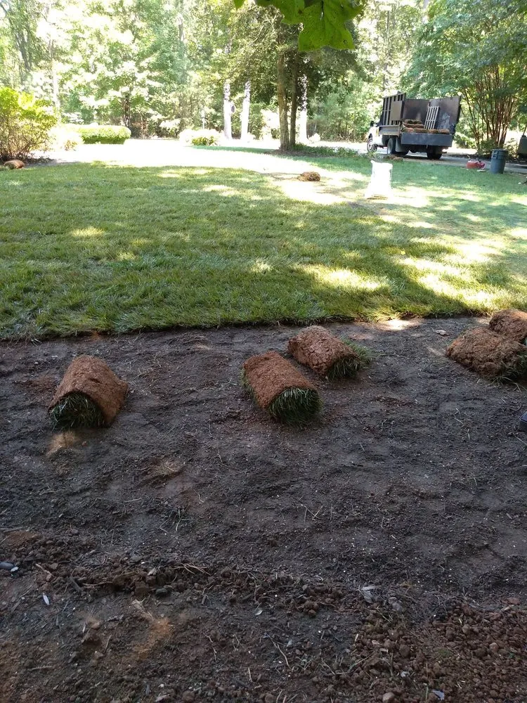 Professional yard maintenance experts serving Manakin-sabot, VA - Direct Cut Lawn Tree Service