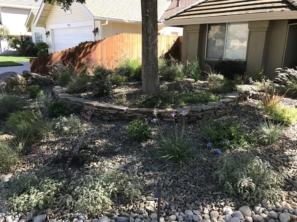 Reliable yard maintenance in Modesto, CA - Direct Landscape