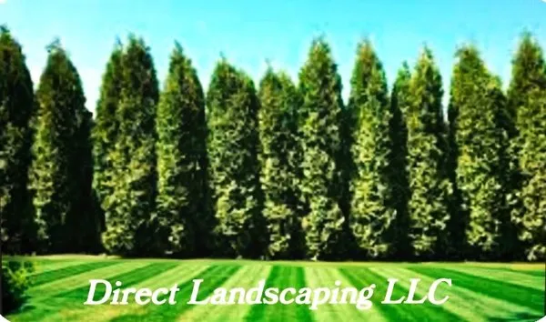 Direct Landscaping Logo