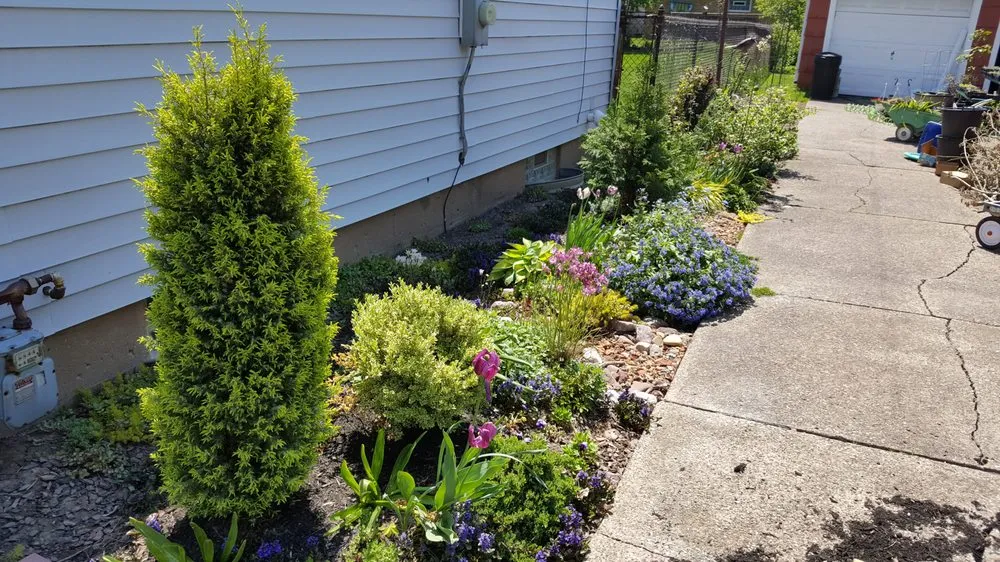 Local landscaping services for beautiful yards in Tonawanda, NY by Direct Property Care