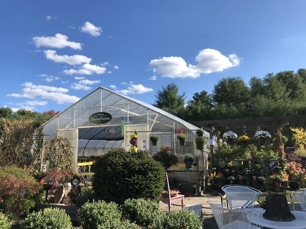 Top-rated landscaping services experts serving Jewett City, CT - DiRoma Home and Garden Center