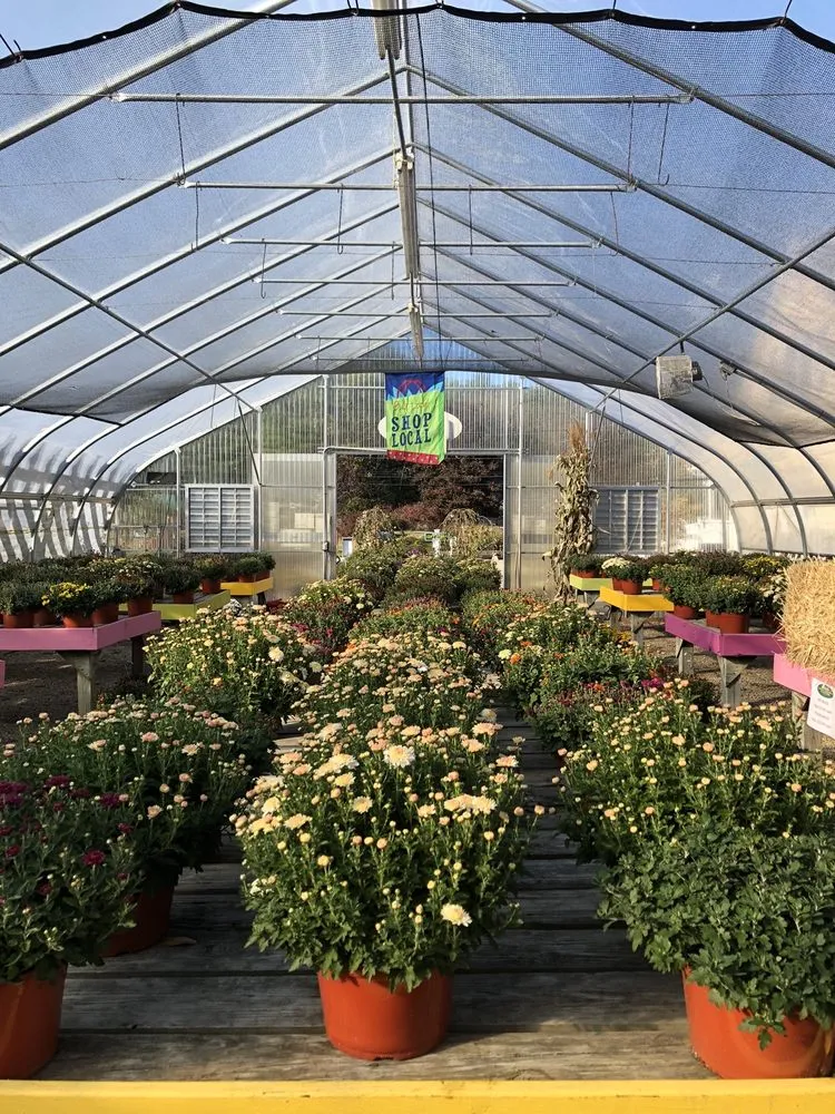 Top-rated landscaping services in Jewett City, CT - DiRoma Home and Garden Center