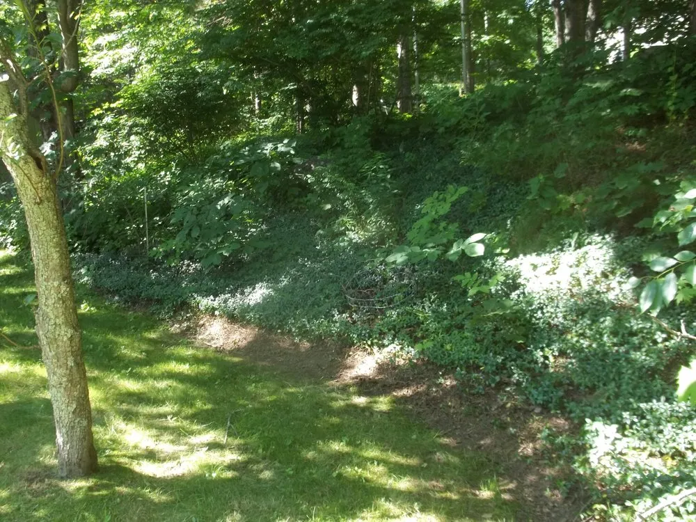 Reliable residential landscaping for residential properties in Jewett City, CT by DiRoma Home and Garden Center