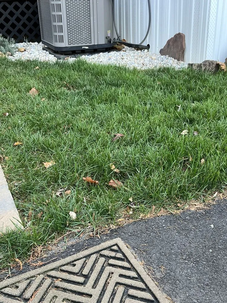 Expert residential landscaping experts serving Eatontown, NJ - Dirt & Turf