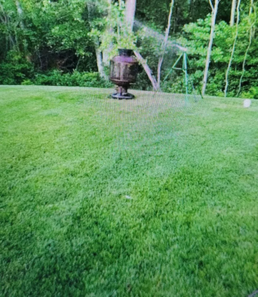 Professional yard maintenance in Eatontown, NJ by Dirt & Turf