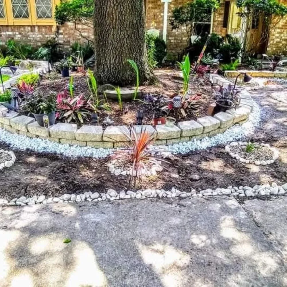 Professional yard cleanup service for beautiful yards in Houston, TX by Dirt and Dust Busters