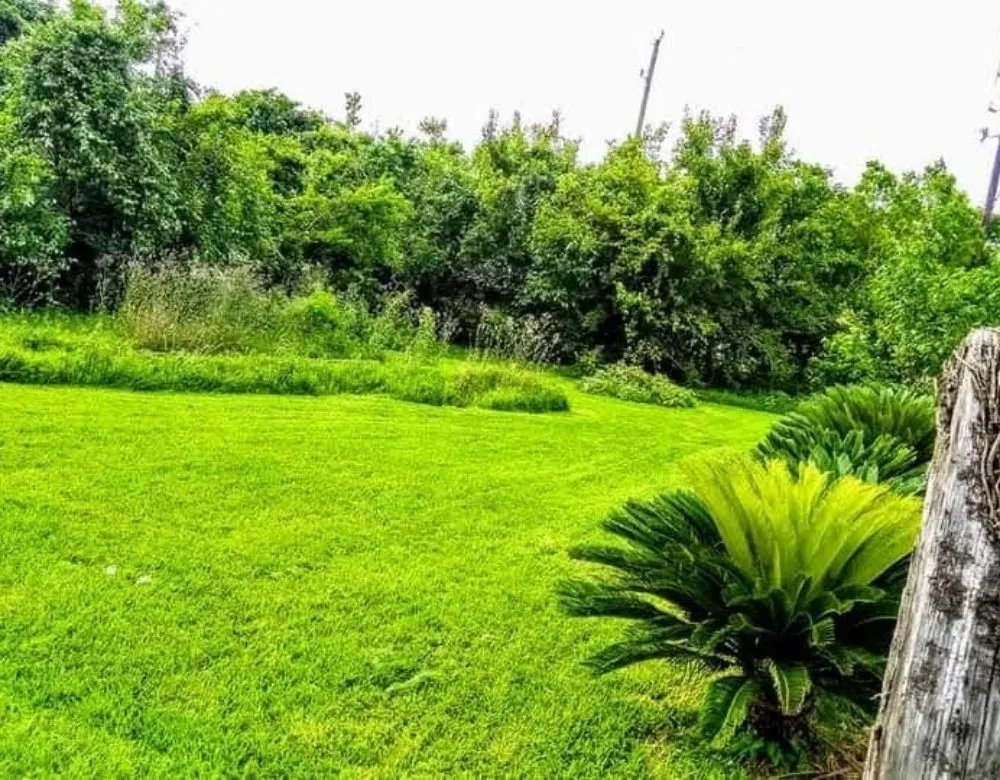 Top-rated yard cleanup service for outdoor upgrades across Houston, TX - Dirt and Dust Busters