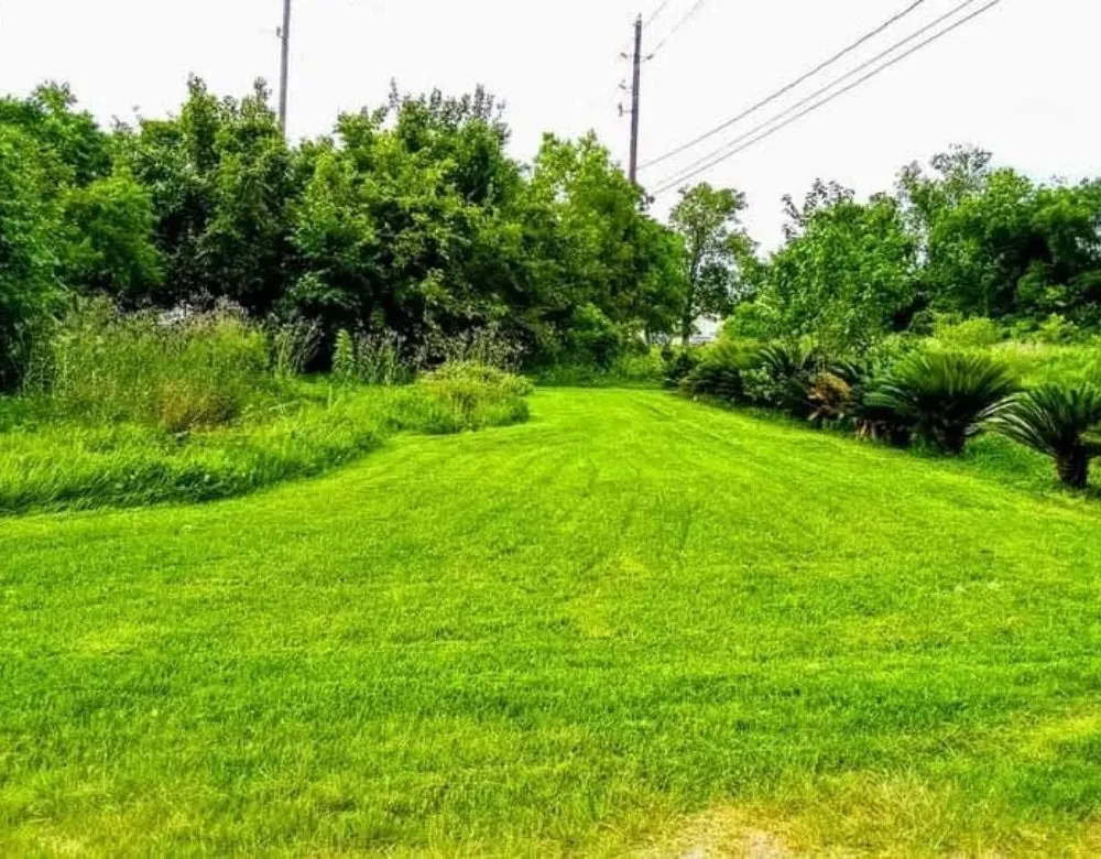 Professional garden landscaping in Houston, TX - Dirt and Dust Busters