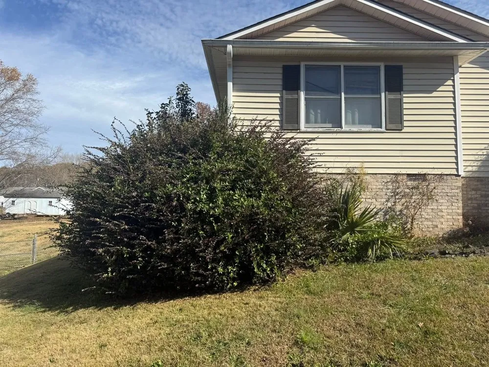 Expert residential landscaping in Spartanburg, SC - Dirt and Grit Landscaping And More