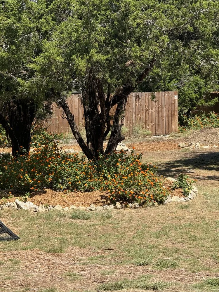Top-rated landscape installation experts serving Lago Vista, TX - Dirt and Loader Services