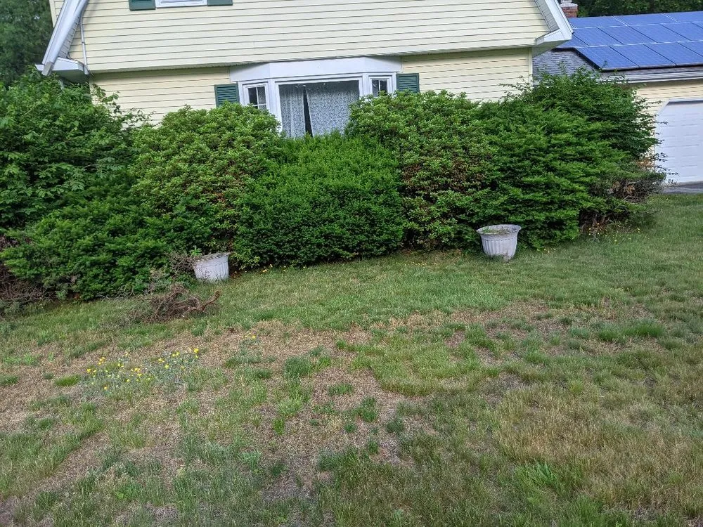 Custom lawn mowing service in Newington, CT - Dirt and Stone Landscaping