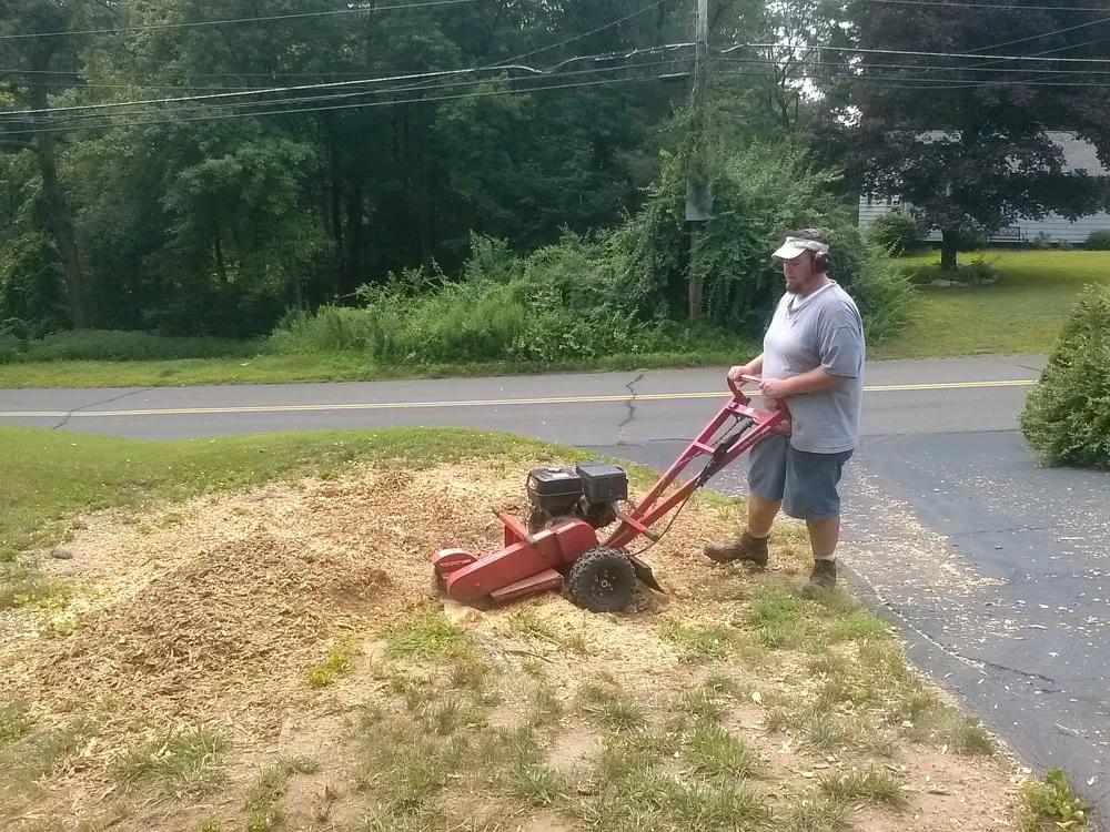Affordable residential landscaping for outdoor upgrades across Newington, CT - Dirt and Stone Landscaping