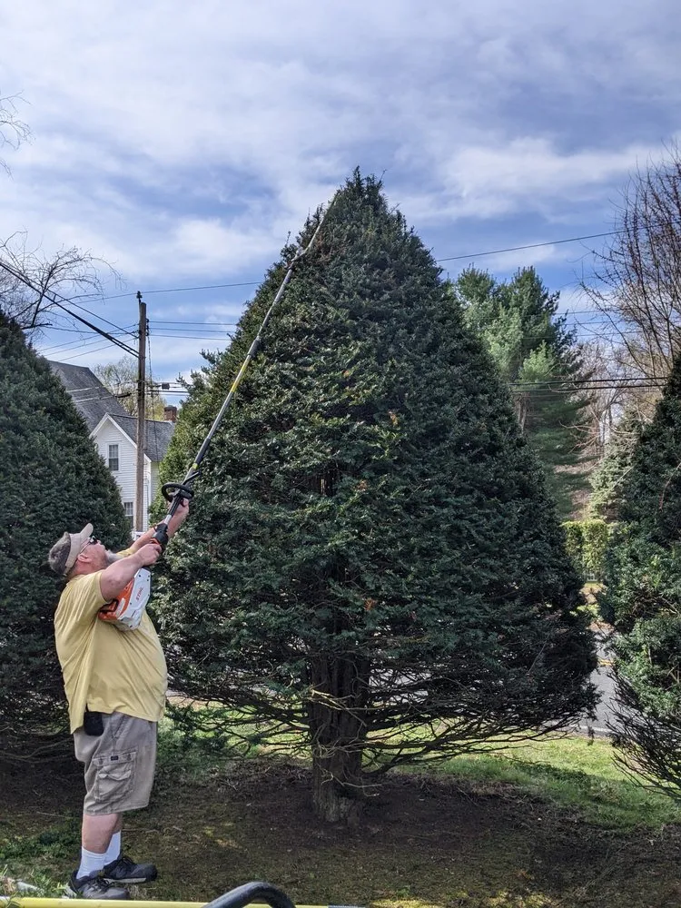 Custom lawn care service in Newington, CT - Dirt and Stone Landscaping