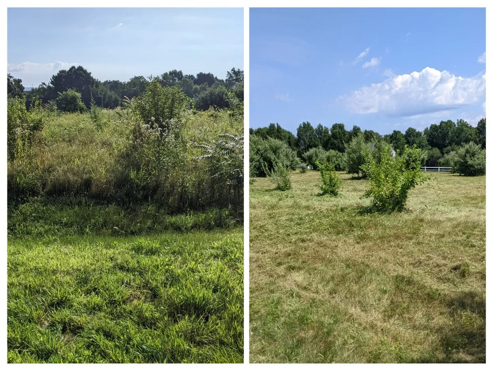 Reliable garden landscaping for outdoor upgrades in Newington, CT by Dirt and Stone Landscaping