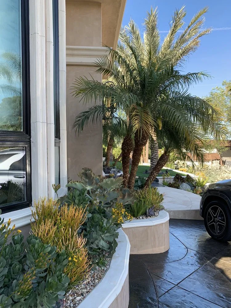Reliable outdoor landscaping in Santa Monica, CA by Dirt Beauty