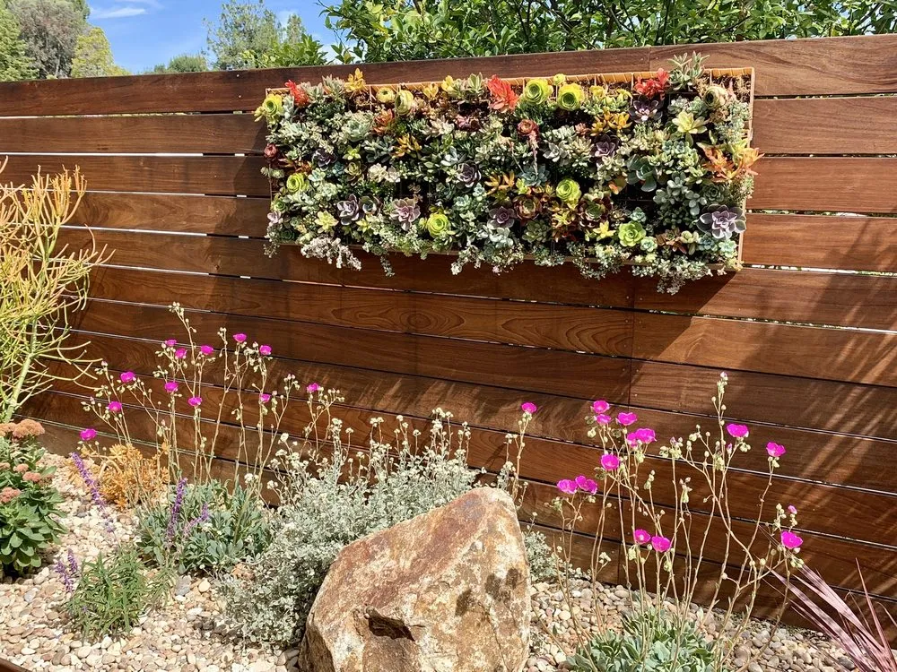 Custom yard maintenance in Santa Monica, CA - Dirt Beauty