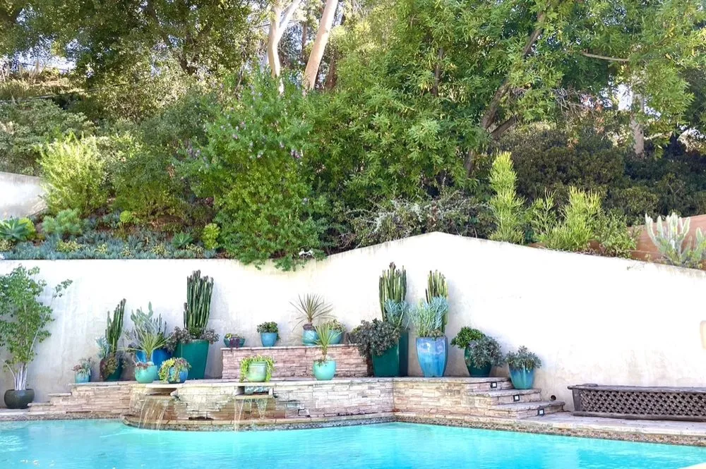 Top-rated landscape installation experts serving Santa Monica, CA - Dirt Beauty