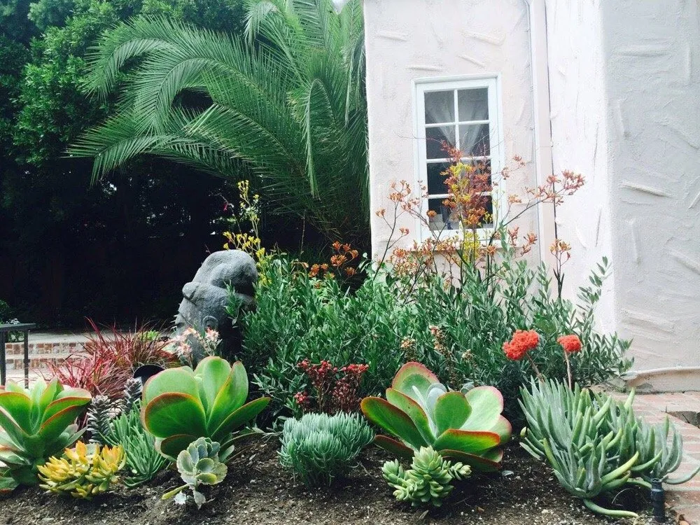 Local lawn mowing service with custom design in Santa Monica, CA by Dirt Beauty