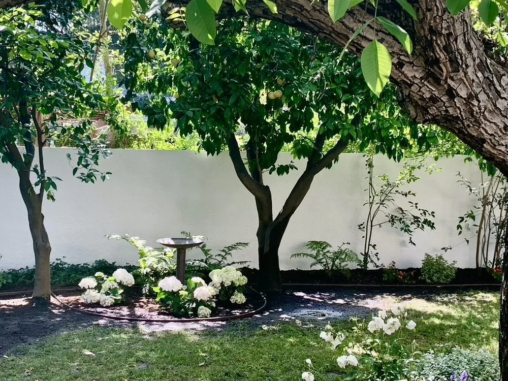 Top-rated lawn care service in Santa Monica, CA by Dirt Beauty