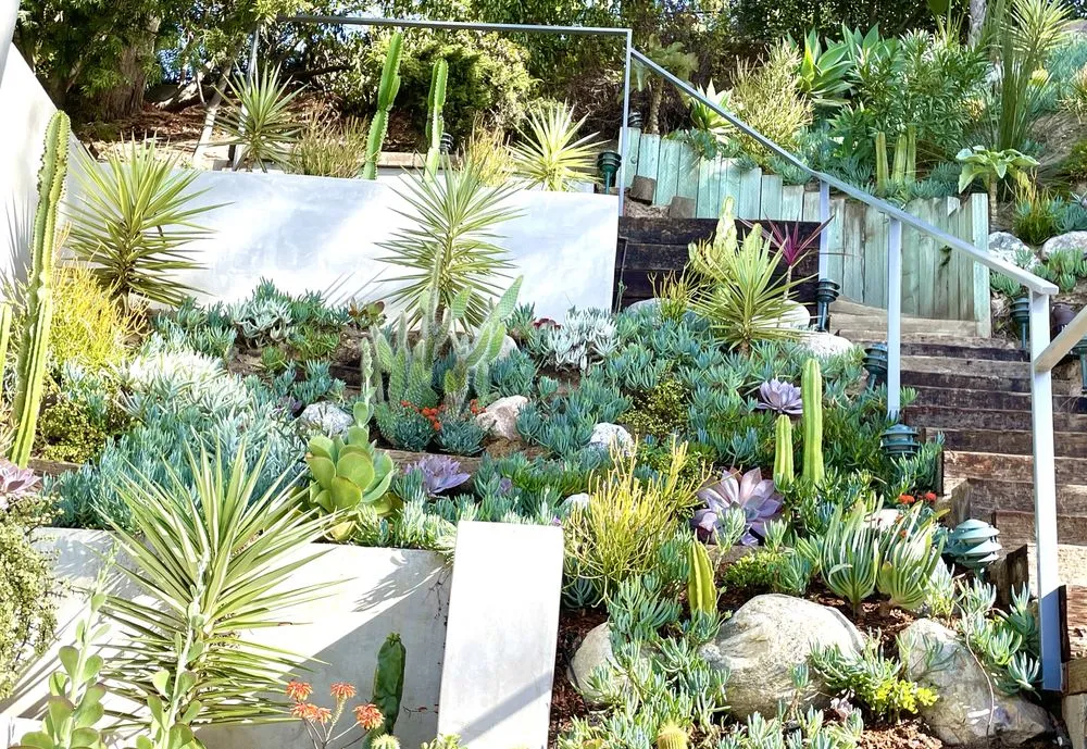 Affordable yard cleanup service for outdoor upgrades in Santa Monica, CA by Dirt Beauty