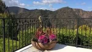 Top-rated landscape installation for residential properties in Santa Monica, CA by Dirt Beauty