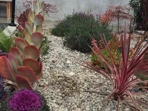 Affordable lawn mowing service for homes across Santa Monica, CA - Dirt Beauty