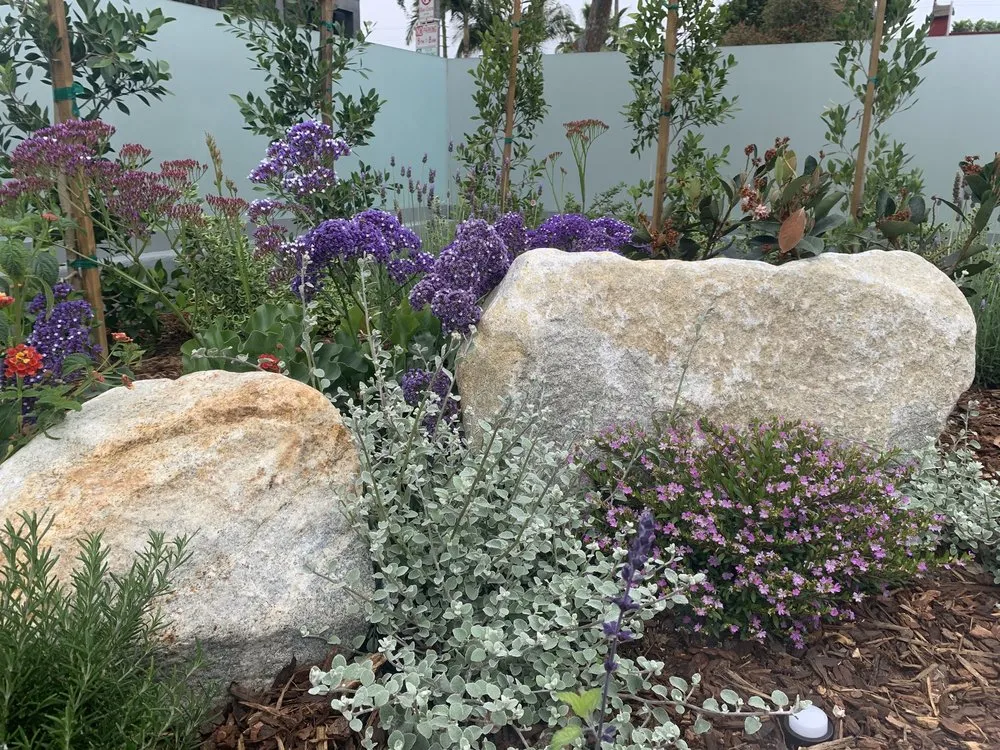 Local lawn mowing service in Santa Monica, CA - Dirt Beauty