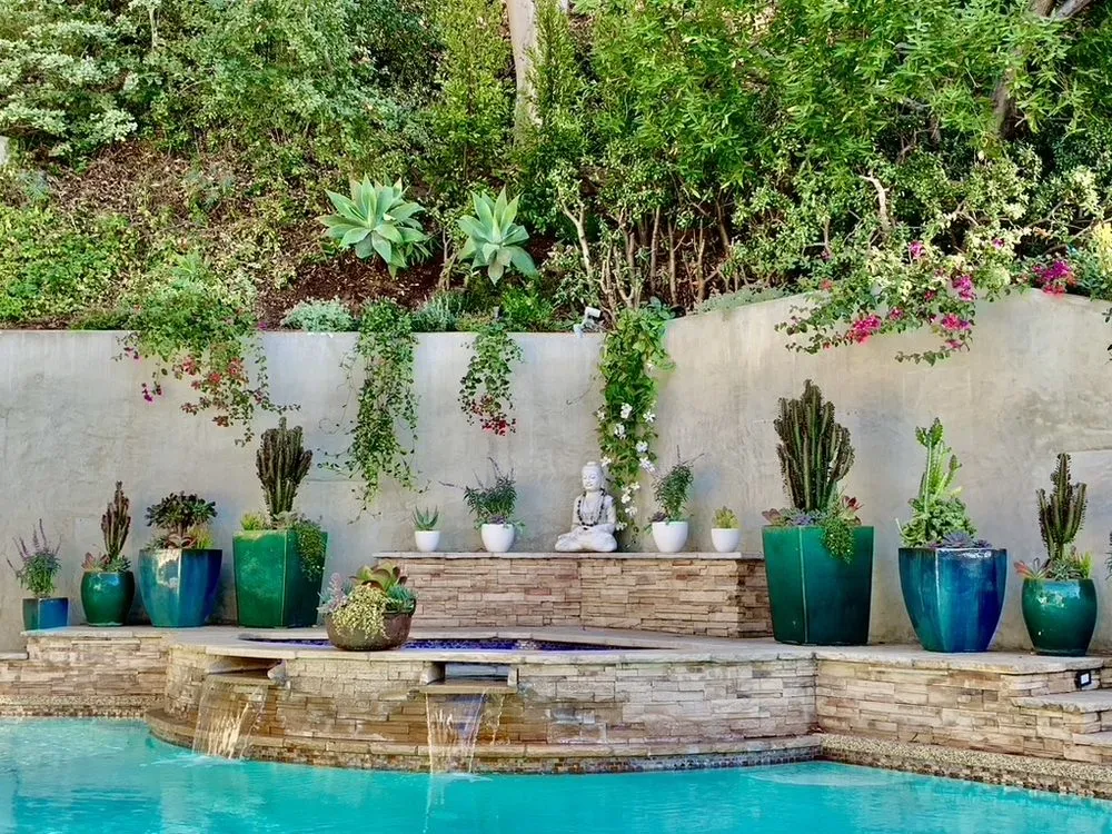 Reliable yard maintenance in Santa Monica, CA by Dirt Beauty