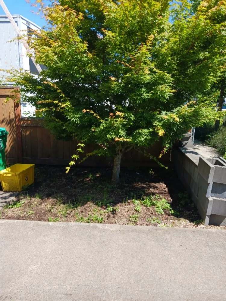 Top-rated garden landscaping in Portland, OR - Dirt-Brothers Lawn Care