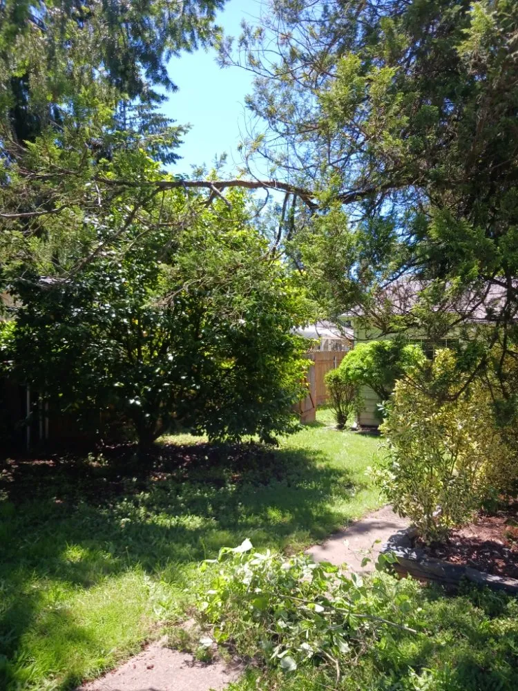 Custom residential landscaping with custom design in Portland, OR by Dirt-Brothers Lawn Care