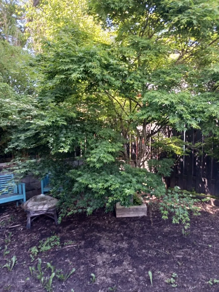 Professional outdoor landscaping experts serving Portland, OR - Dirt-Brothers Lawn Care