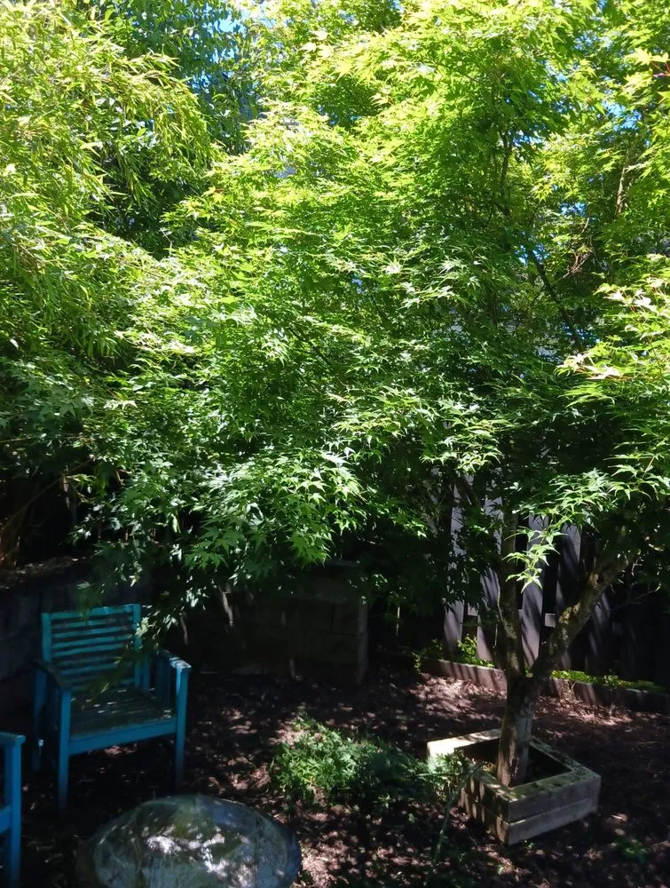 Reliable outdoor landscaping experts serving Portland, OR - Dirt-Brothers Lawn Care