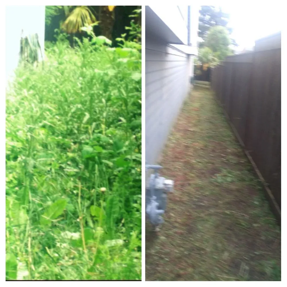 Reliable residential landscaping in Portland, OR by Dirt-Brothers Lawn Care