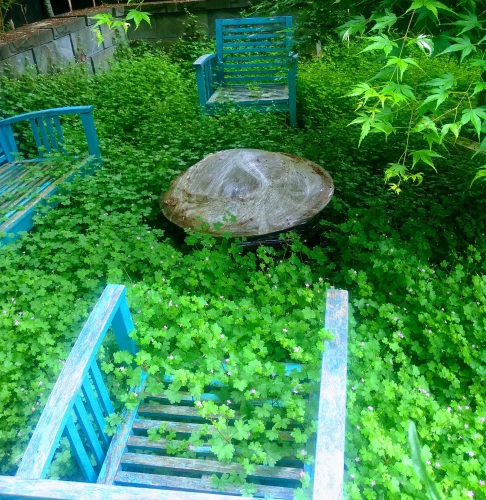 Trusted lawn care service in Portland, OR by Dirt-Brothers Lawn Care