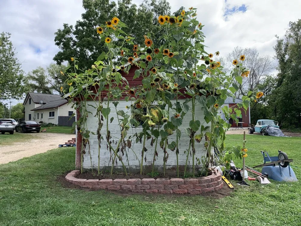 Professional landscaping services experts serving Prescott, WI - Dirt Bullies Landscaping