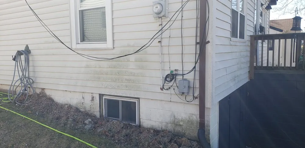 Professional yard cleanup service in Scott Air Force Base, IL - Dirt Busters Exterior Cleaners