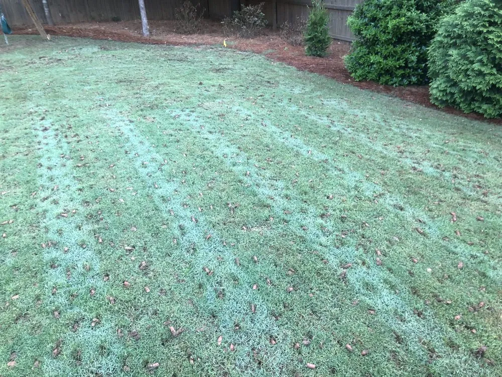 Top-rated garden landscaping experts serving Marietta, GA - Dirt Cheap Aerations