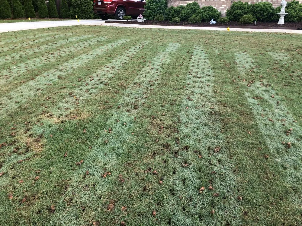 Reliable residential landscaping in Marietta, GA - Dirt Cheap Aerations