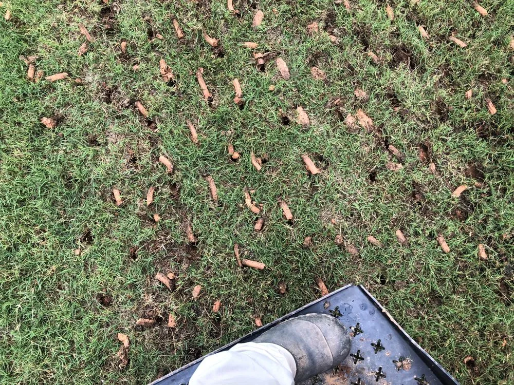 Local yard maintenance in Marietta, GA by Dirt Cheap Aerations