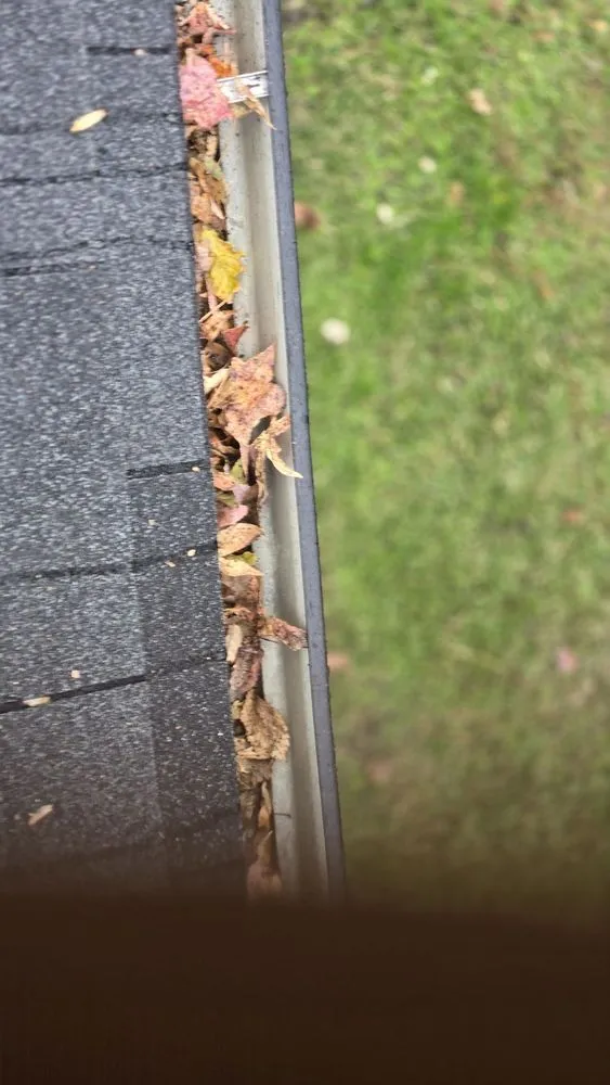Professional lawn care service in Mt Olive, NC - Dirt Cheap Lawn Care Service