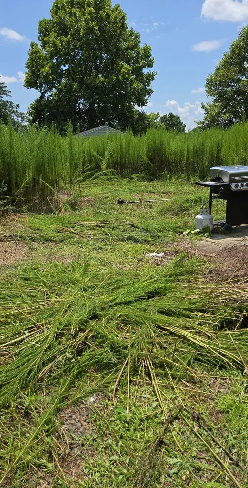 Reliable yard cleanup service with custom design in Mt Olive, NC by Dirt Cheap Lawn Care Service